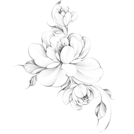 Цветы в графике