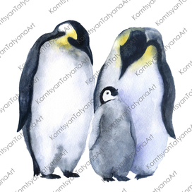Милые пингвины :)