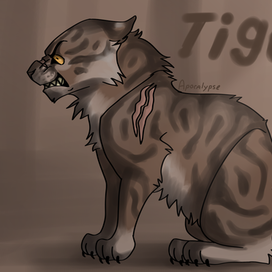 Tigerstar