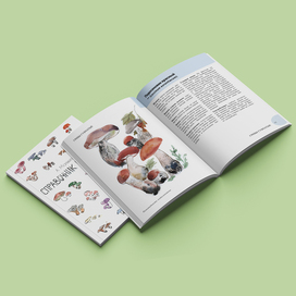 Иллюстрации, дизайн и верстка проектного предложения "Справочник грибника"