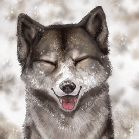 Волк в снегу