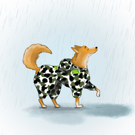 Довольный рыжик пес под дождем