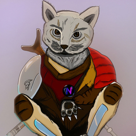 mandalorian cat