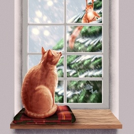 Новое знакомство 