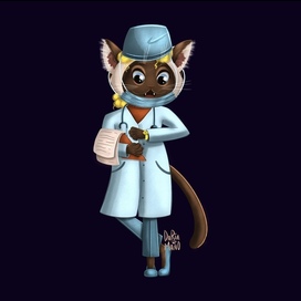 Кошка врач