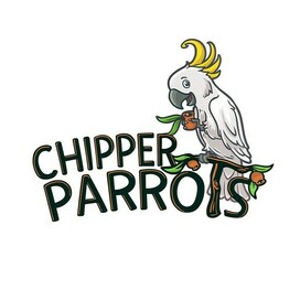 Chipper Parrot