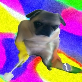 Прикольчик