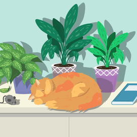 Отдыхающая кошка