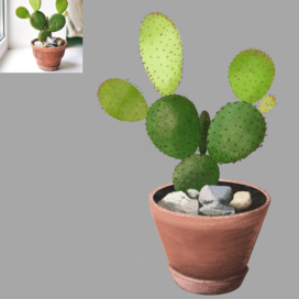 Cactus 