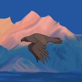 Кадр из анимации « летящий орел»