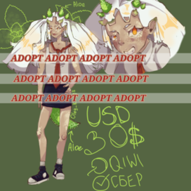  Адопт