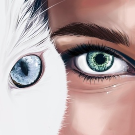 eyes