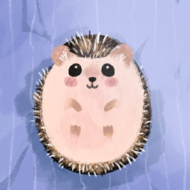 Hedgehog