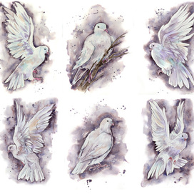 Серия иллюстраций "белые голуби"
