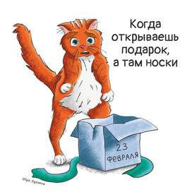 Кот открыл подарок