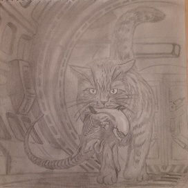 Первые работы