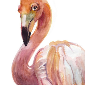 Фламинго для детской книжки