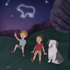 Ночное небо