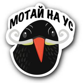 Bird sticker