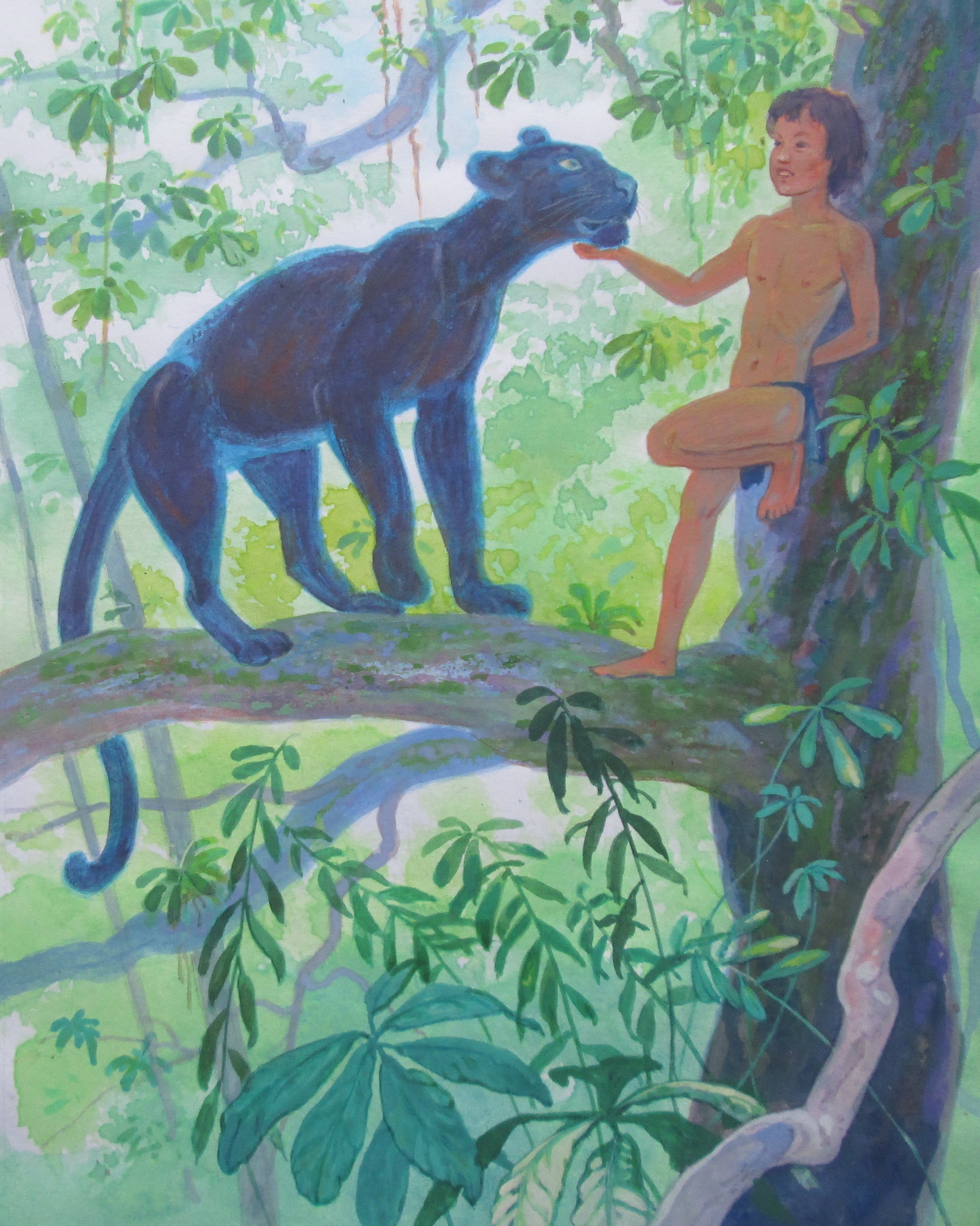 Маугли Иллюстрации - 27 фото