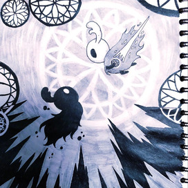 Hollow knight vs shadow
