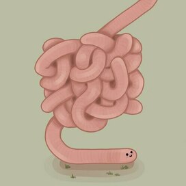 Червивая история