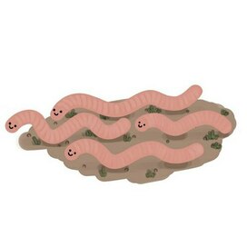 Червивые истории