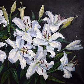 Lilies