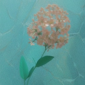 Ожидание весны⛄❄🌱🌺