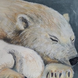 Белая медведица и Умка