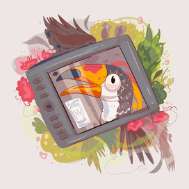 illustration  toucan