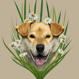 Портрет в ромашках