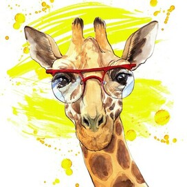 жираф в очках