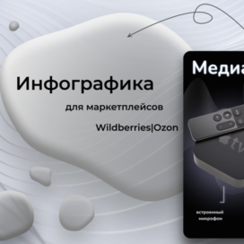 Инфографика