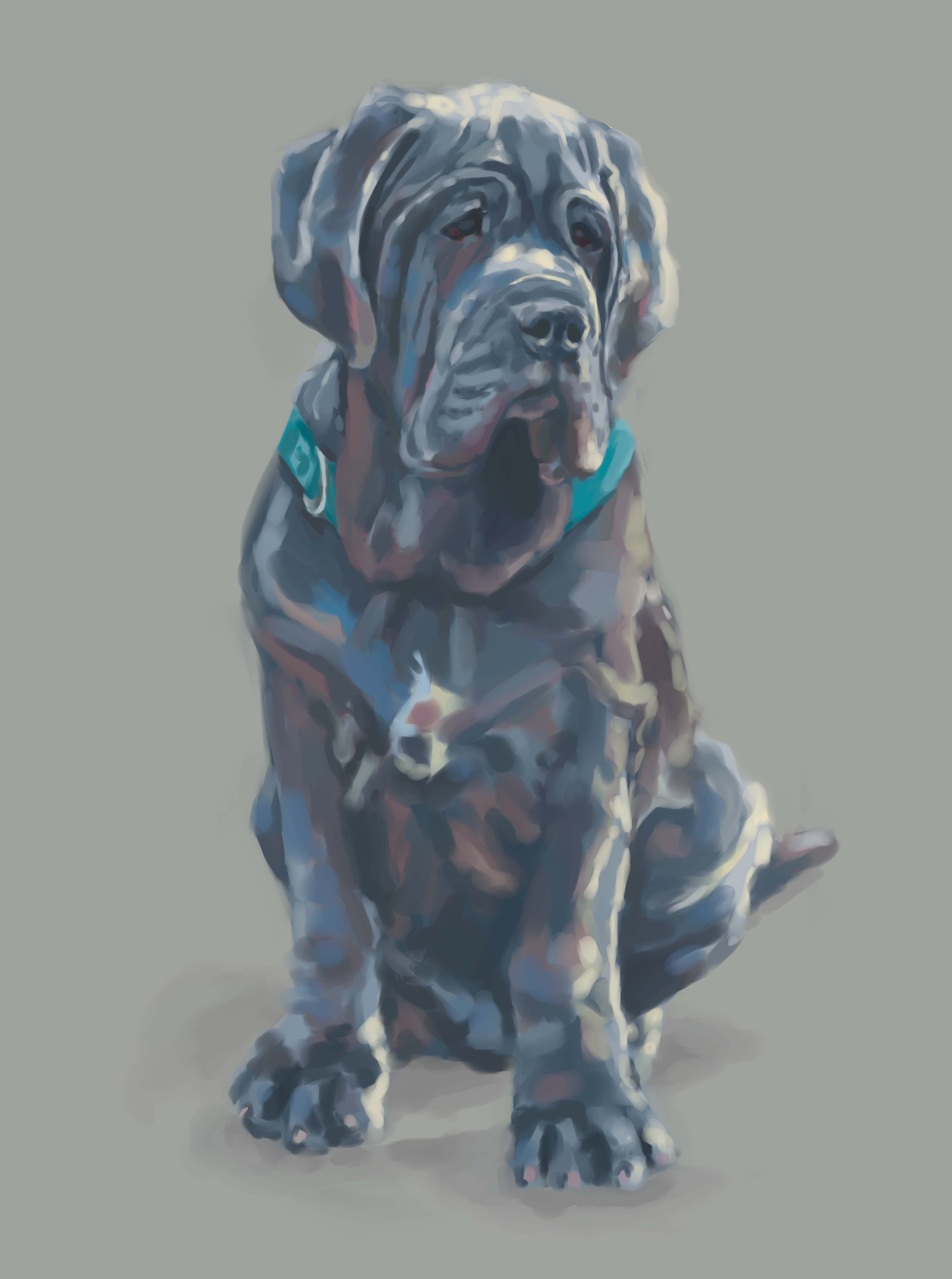 Иллюстрация Неаполитанский мастиф | Illustrators.ru