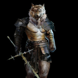 Tiger warrior 