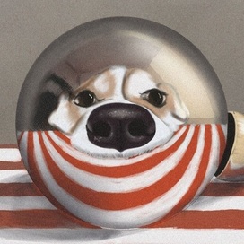 Пёс в ёлочном шарике