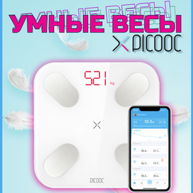 Весы