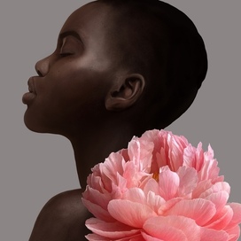 Peony/ Black beauty 