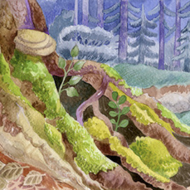 Иллюстрация к сказке о Волшебном лесе
