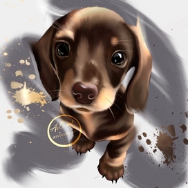 Рисунок щеночка 