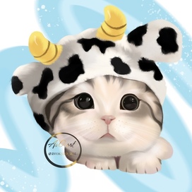 Милый котик 🐈 