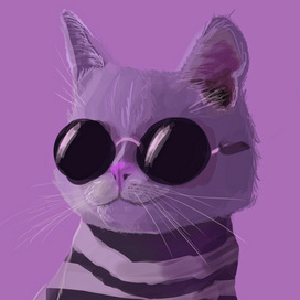 Cool cat