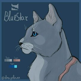 Коты воители: Синяя Звезда 