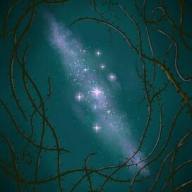 Через терни к звёздам