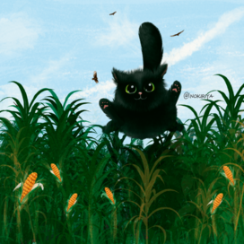 Котик и кукурузное поле