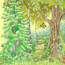 Иллюстрация для книги "Сказки лесных зверей"