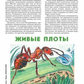 "Муравей"-Иллюстрация для журнала-"А почему?"Редакция "Юный техник".