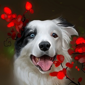 Яркий портрет собаки