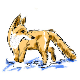 sketch fox